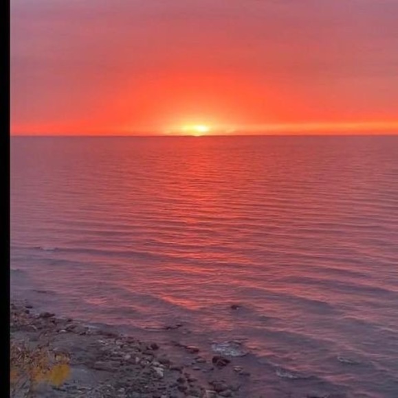 Meet your Posher, Vicki - Picture 1 of 1